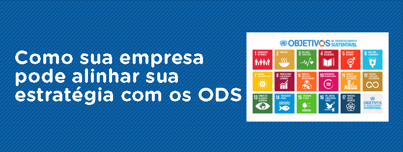 Como sua empresa pode alinhar sua estratégia com os ODS